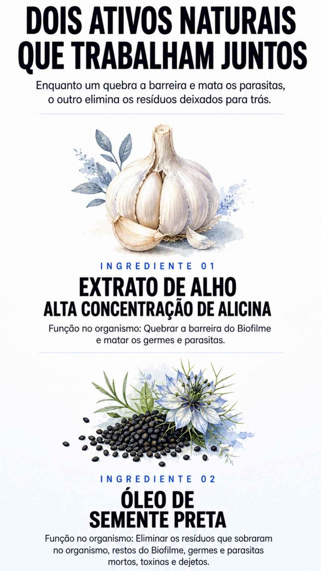 Dupla ação Alicina + Óleo de Semente Preta
